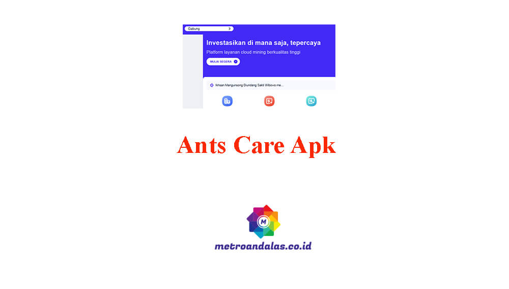 Ants Care Apk