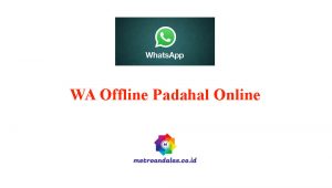Cara Agar WA Terlihat Offline Padahal Online