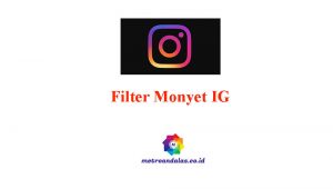 Filter Monyet IG