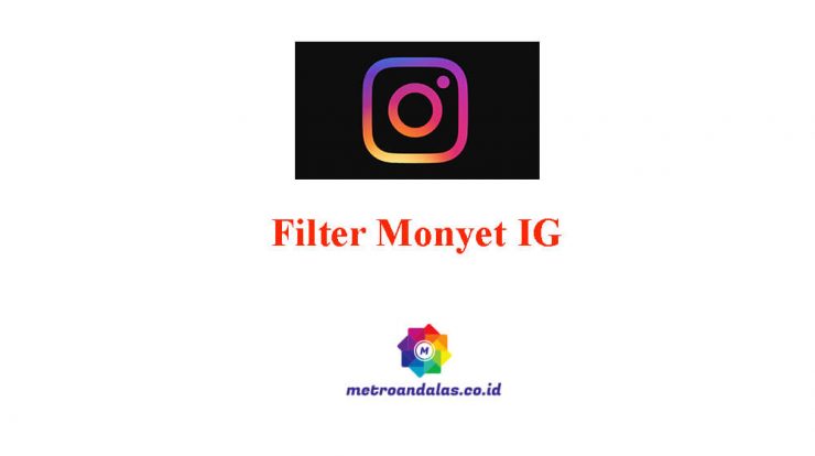 Filter Monyet IG