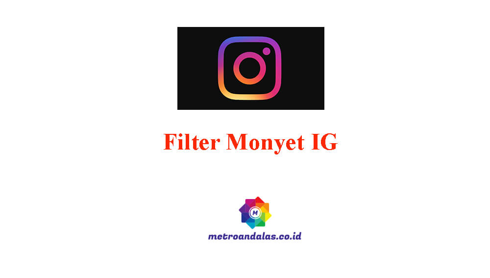 Filter IG Monyet