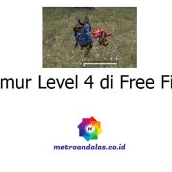 Jamur Level 4 di Free Fire