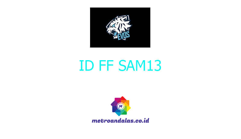 ID FF SAM13