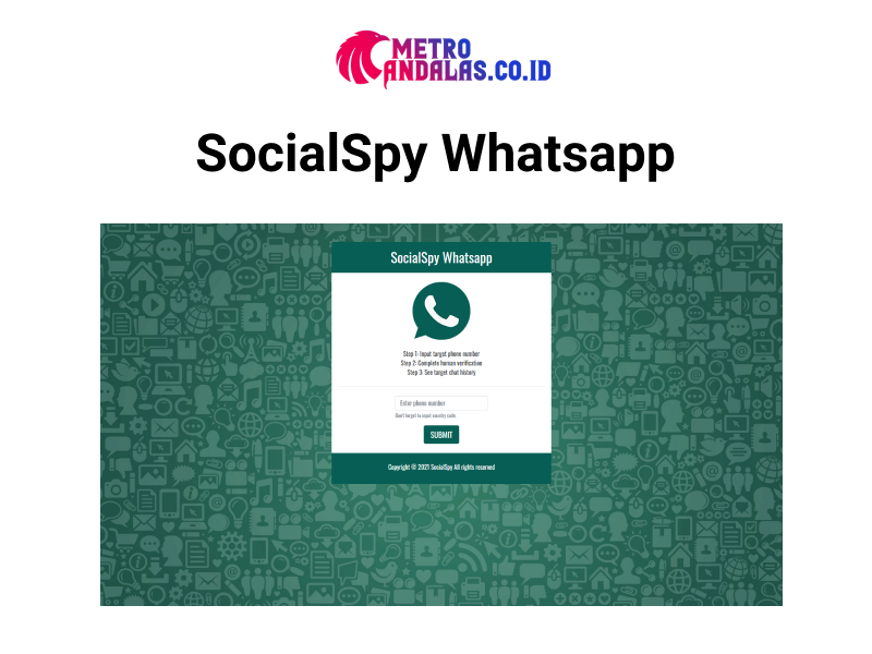 Aplikasi-Social-Spy-Whatsapp-Website