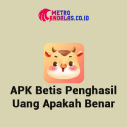 APK Betis Penghasil Uang