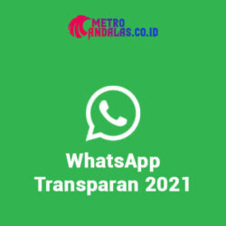 Download WhatsApp Transparan