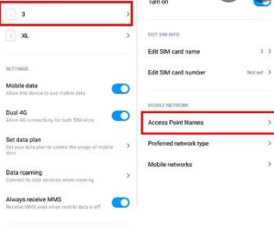 setting APN Tri