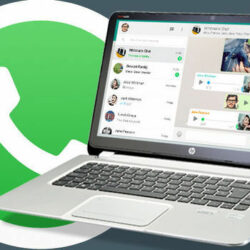 WhatsApp web vs WhatsApp desktop