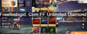 freefirebigid.com