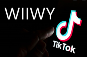 wiiwy toktok