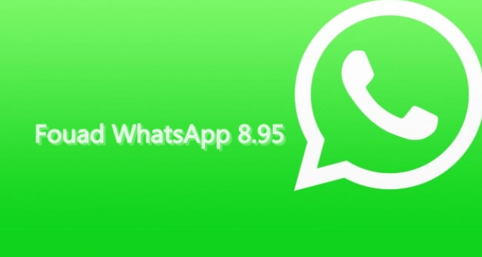Fouad Whatsapp 8.95