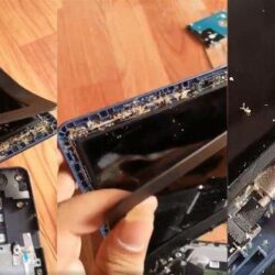 Cara Mengatasi Laptop Kemasukan Semut