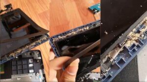 Cara Mengatasi Laptop Kemasukan Semut