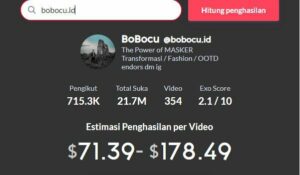 Tiktok Money Calculator