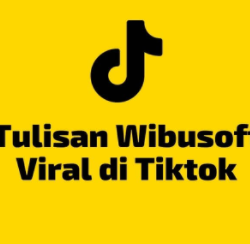 Wibusoft TikTok