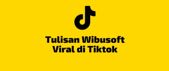 Wibusoft TikTok
