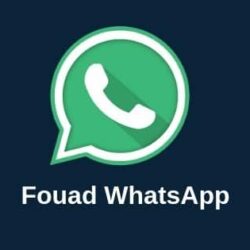 Fouad Whatsapp