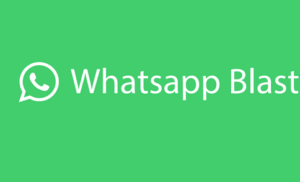 WA Blast