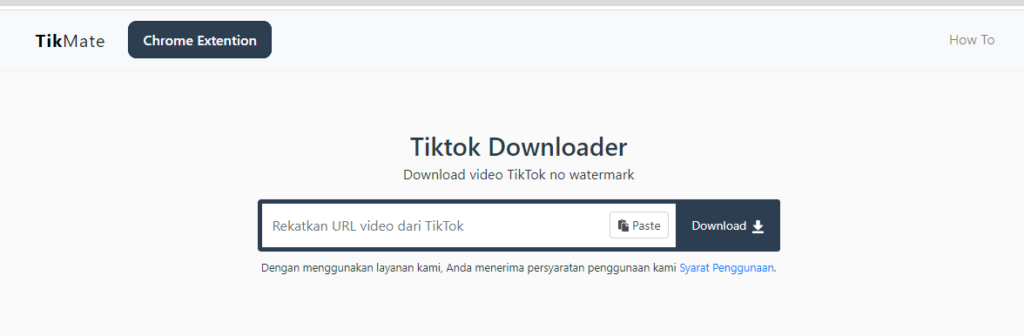 Rekomendasi TikTok Downloader