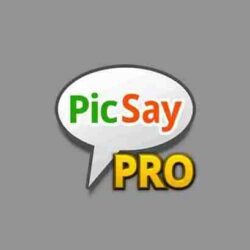 Kelebihan dan Kekurangan PicSay Pro