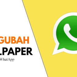 Cara Mengubah Wallpaper Chat WhatsApp Terbaru 2022