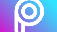 PiscArt