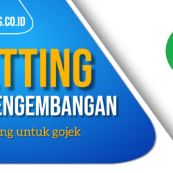 cara setting opsi pengembangan samsung untuk gojek